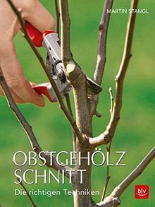 Obstgehölzschnitt: Die richtigen Techniken