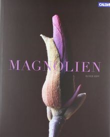 Magnolien