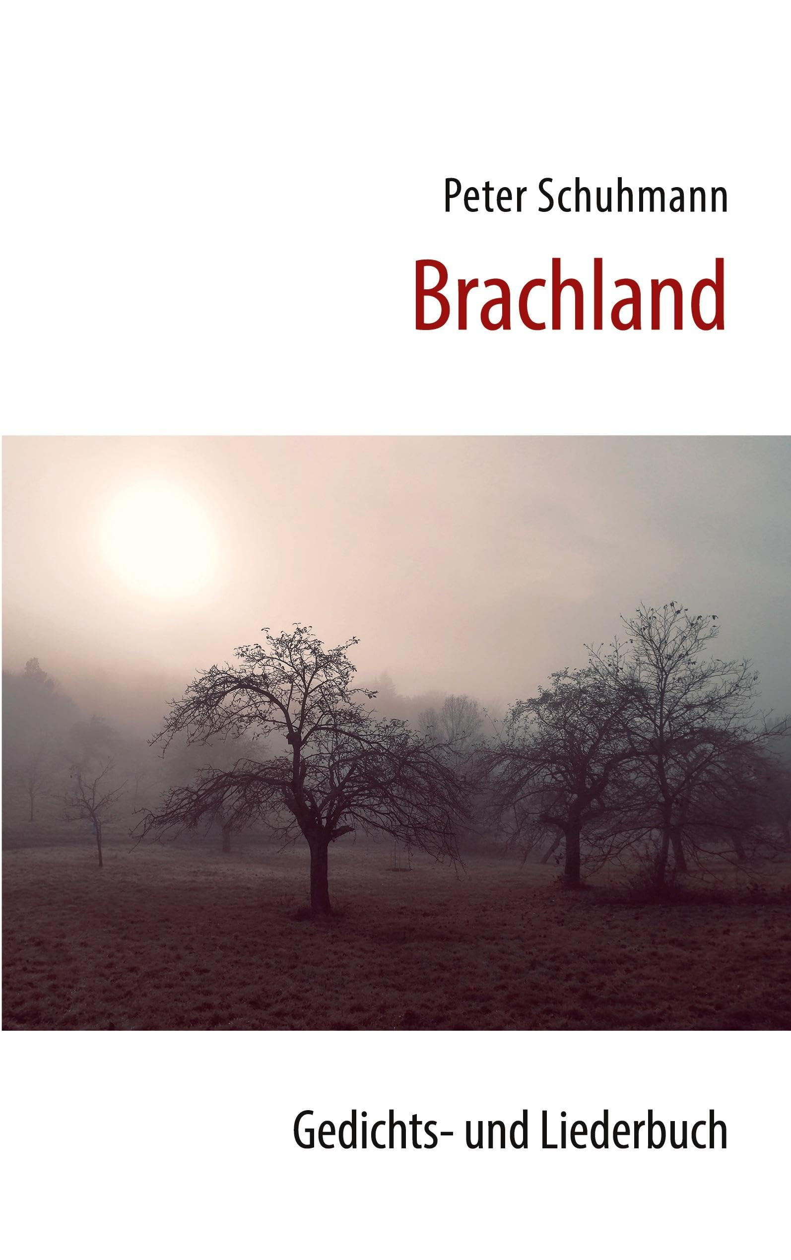 Brachland: Gedichts- und Liederbuch