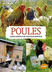 Poules : guide complet de l'éleveur amateur