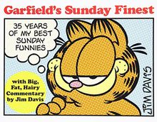 Garfield's Sunday Finest: 35 Years of My Best Sunday Funnies