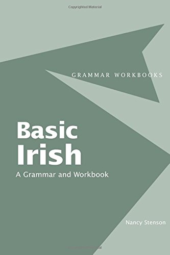 Basic Irish A Grammar and Workbook - Nancy Stenson Kartoniert (TB)