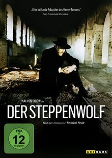 Steppenwolf von Fred Haines | DVD | Zustand gut