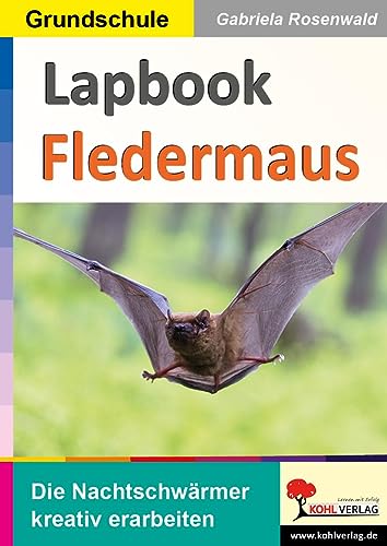 Lapbook Fledermaus: Die Nachtschwärmer kreativ erarbeiten