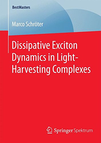 Dissipative Exciton Dynamics in Light-Harvesting Complexes (BestMasters)