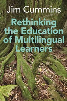 Rethinking the Education of Multilingual Learners: A Critical Analysis of Theoretical Concepts (Linguistic Diversity and Language Rights, 19)