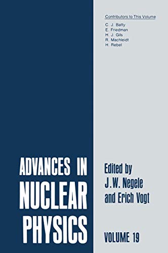 Advances in Nuclear Physics: Volume 19 (Advances in Nuclear Physics, 19, Band 19)