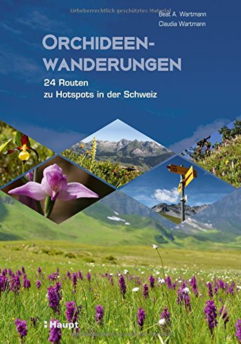 Orchideenwanderungen: 24 Routen zu Hotspots in der Schweiz