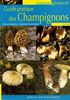 Guide Pratique des Champignons