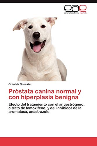 Próstata canina normal y con hiperplasia benigna: Efecto del tratamiento con el antiestrógeno, citrato de tamoxifeno, y del inhibidor de la aromatasa, anastrazole