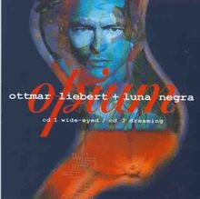Opium von Ottmar Liebert & Luna Negra | CD | Zustand gut