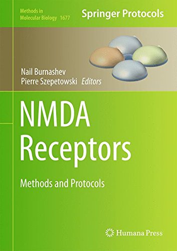 NMDA Receptors: Methods and Protocols (Methods in Molecular Biology, Band 1677)