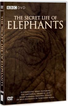 The Secret Life of Elephants [UK Import]