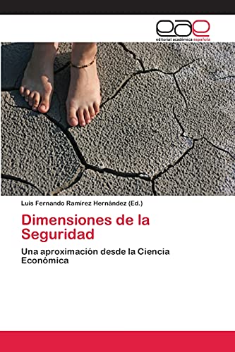 Dimensiones de la Seguridad: Una aproximación desde la Ciencia Económica
