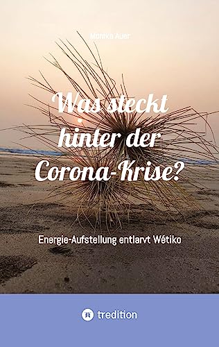 Was steckt hinter der Corona-Krise?: Energie-Aufstellung entlarvt Wétiko. Kollektive Psychose. Bösartige Egophrenie. Separiertes Ich.