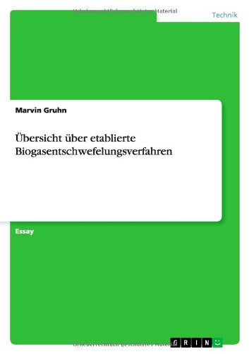 Übersicht über etablierte Biogasentschwefelungsverfahren