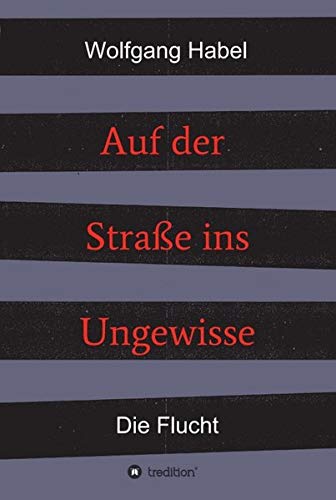 Auf der Straße ins Ungewisse: Die Flucht (2 Bände: Auf der Straße ins Ungewisse)