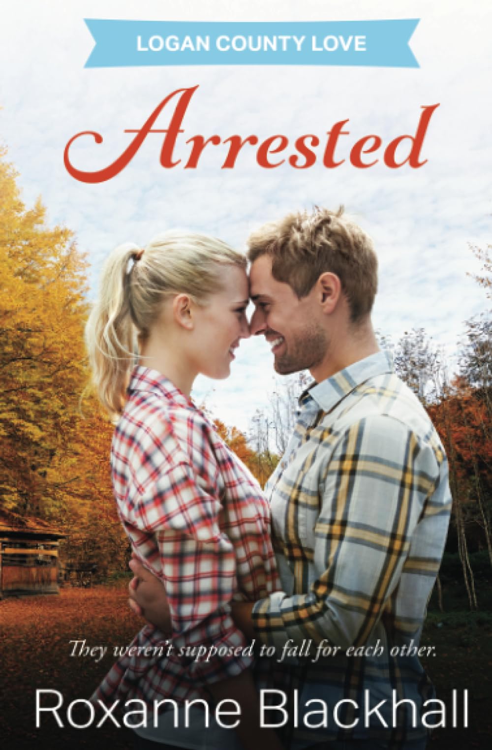 Arrested (Logan County Love, Band 3)