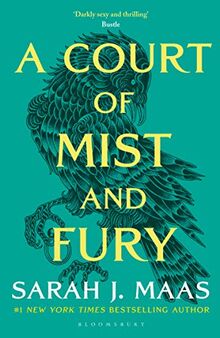 A Court of Mist and Fury (A Court of Thorns and Roses, Band 9)