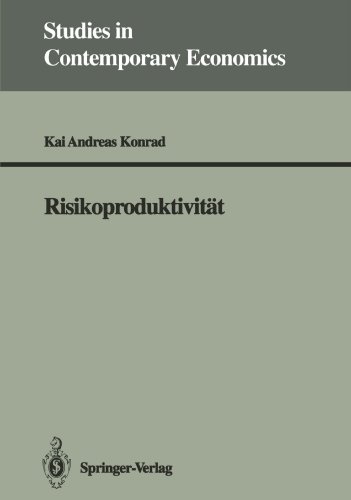 Risikoproduktivität (Studies in Contemporary Economics) (German Edition)