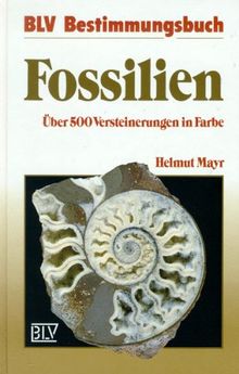 Fossilien