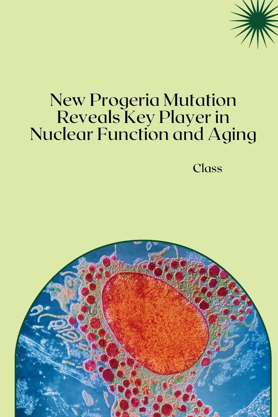 New Progeria Mutation Reveals Key Player in Nuclear Function and Aging: DE