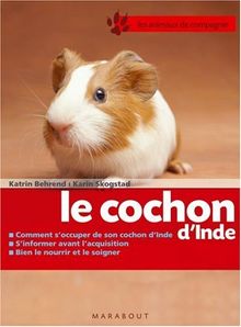 Le cochon d'Inde : bien le soigner, bien le nourrir, bien le comprendre