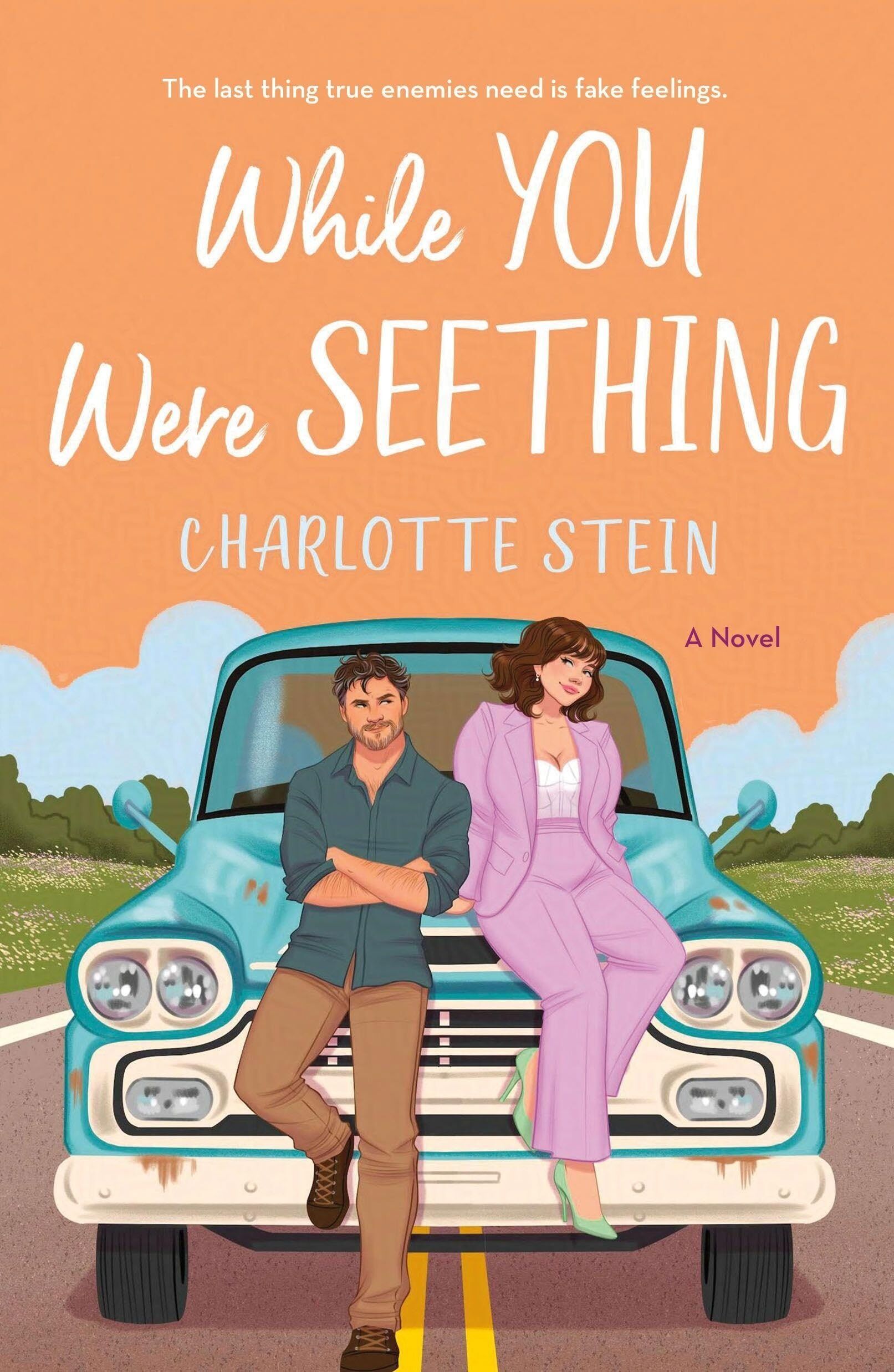Stein, Charlotte: While You Were Seething
