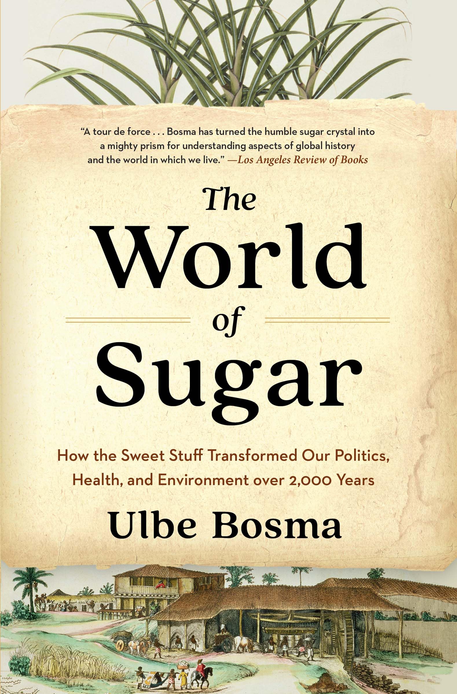 Ulbe Bosma The World Of Sugar, How The Sweet Stuff Transformed Our Politics, Health, And Environment Over 2, 000 Years