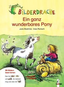 Bilderdrache. Ein ganz wunderbares Pony. Mit Bildern lesen lernen