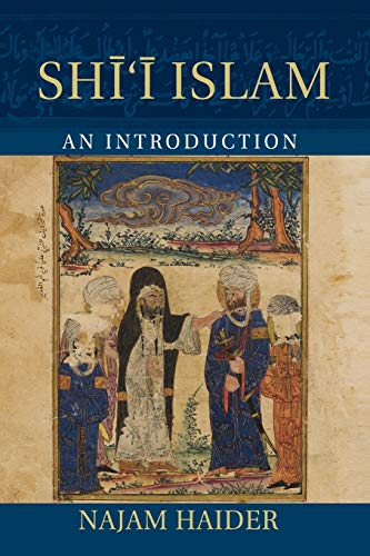 Najam Haider Shi'i Islam, An Introduction (Introduction To Religion)