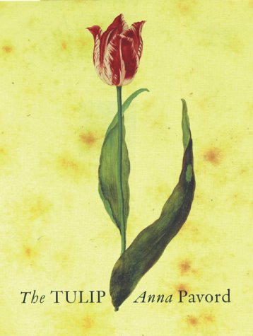 洋書　Die Tulpe. Eine Kulturgeschichte Die Tulpe: Eine Kulturgeschichte (insel taschenbuch) : Pavord