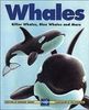 Whales: Killer Whales, Blue Whales and More (Kids Can Press Wildlife)