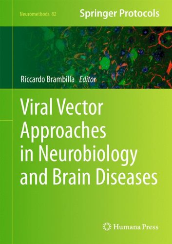 Viral Vector Approaches in Neurobiology and Brain Diseases (Neuromethods)