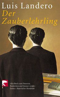 Der Zauberlehrling: Roman