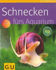 Schnecken fürs Aquarium