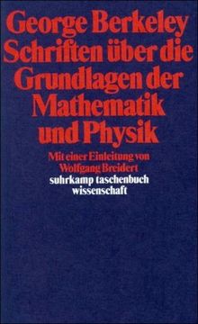 Schriften über die Grundlagen der Mathematik und Physik (suhrkamp taschenbuch wissenschaft)