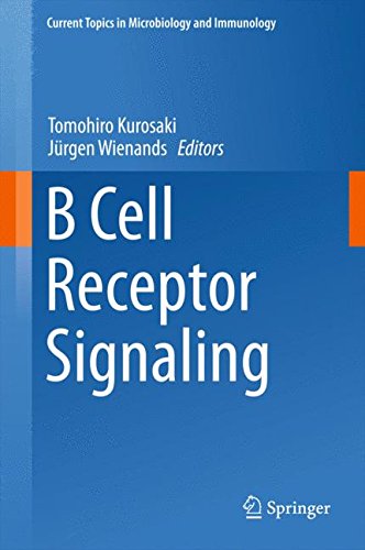 B Cell Receptor Signaling (Current Topics in Microbiology and Immunology)