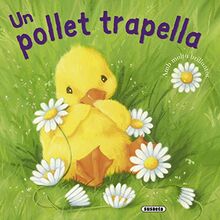 Un pollet trapella (Faules Il.lustrades)