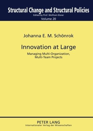 Innovation at Large: Managing Multi-Organization, Multi-Team Projects (Structural Change and Structural Policies)