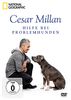 National Geographic - Cesar Millan: Hilfe bei Problemhunden