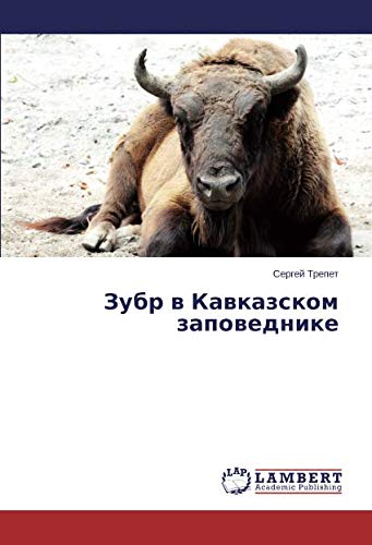 Зубр в Кавказском заповеднике