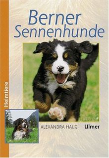 Berner Sennenhunde (Heimtiere)