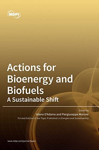 Actions for Bioenergy and Biofuels: A Sustainable Shift