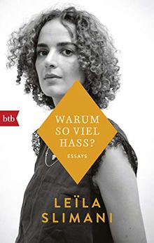 Warum so viel Hass?: Kolumnen und Essays