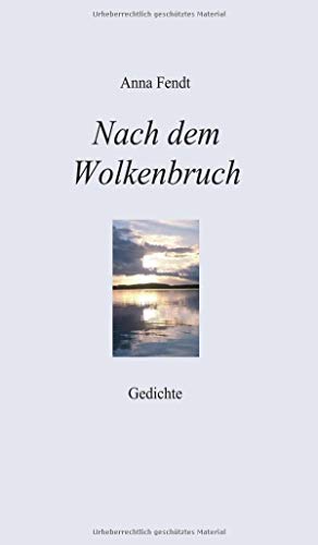 Nach dem Wolkenbruch: Gedichte