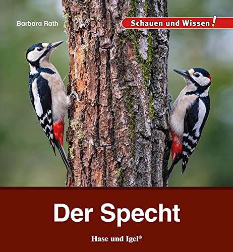 Der Specht: Schauen und Wissen!