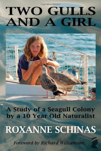 Two Gulls and a Girl: A Study of a Seagull Colony by a 10 Year Old Naturalist