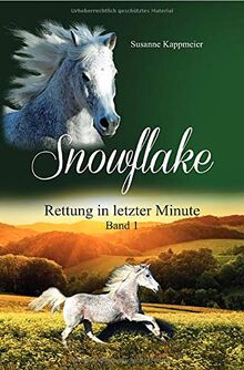 Snowflake / Snowflake: Rettung in letzter Minute