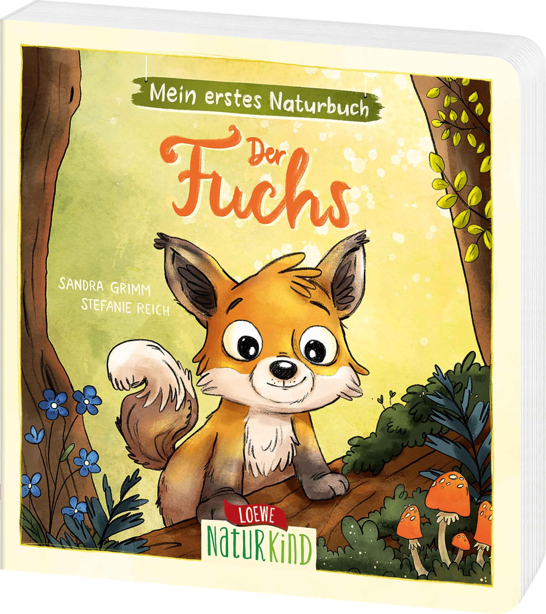 Mein erstes Naturbuch - Der Fuchs: Liebevolles Pappbilderbuch über die heimische Tierwelt und ihre Lebensräume ab 2 Jahren (Naturkind)